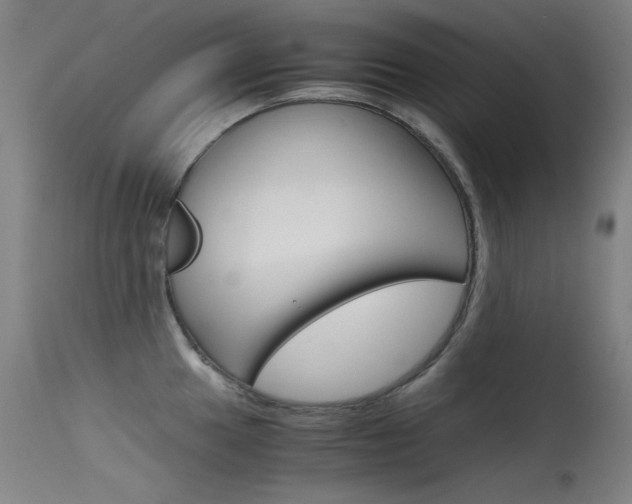 X0000115621049200911101052
