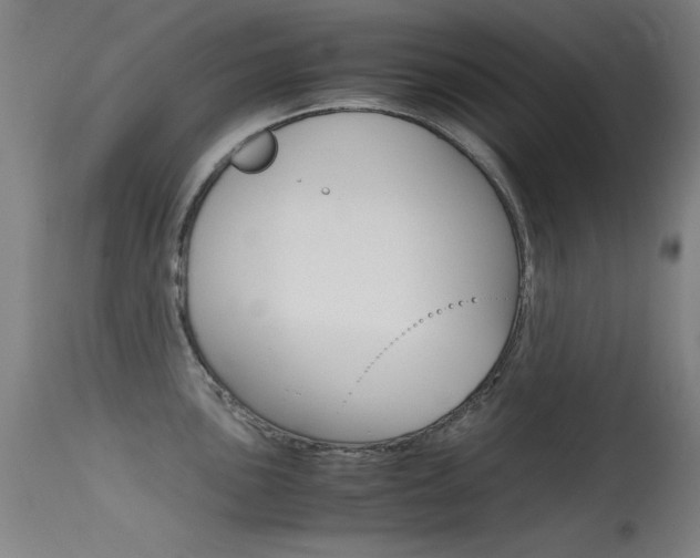 X0000115621051200911101052