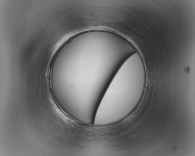 X0000115621054200911101052