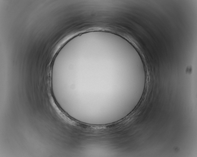 X0000115621055200911101052