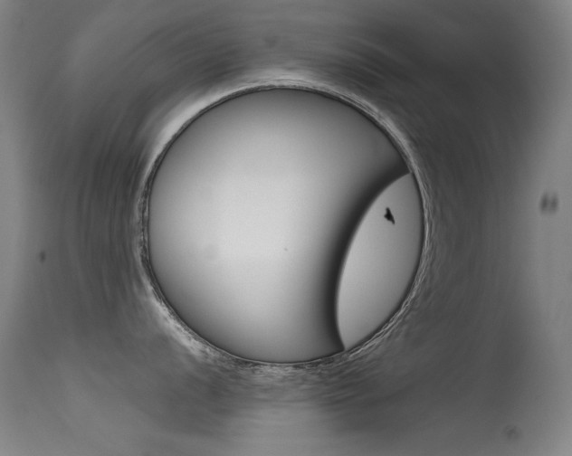 X0000115621056200911101052