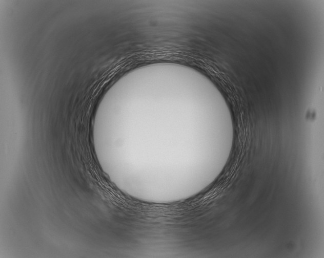 X0000115621057200911101051