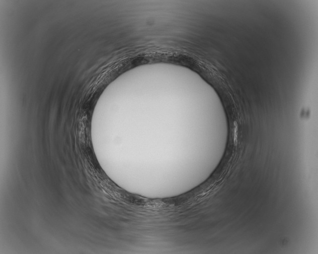 X0000115621059200911101051