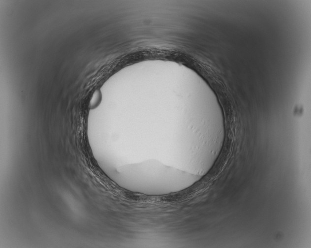 X0000115621061200911101051