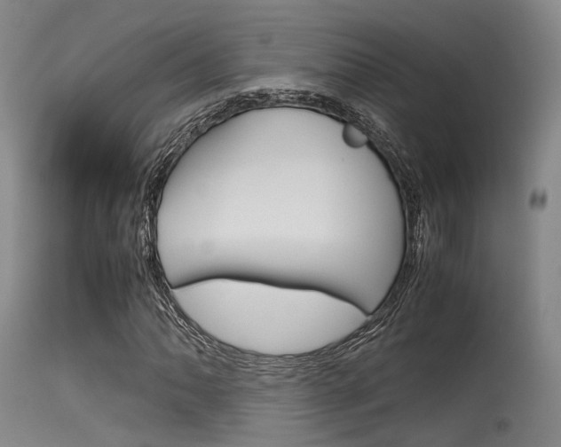 X0000115621062200911101051