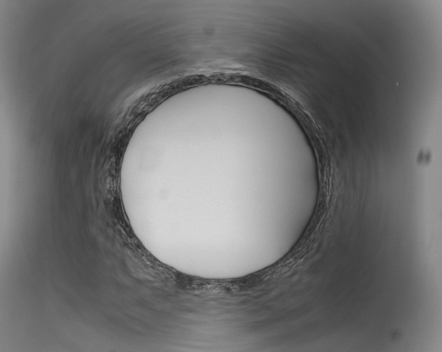 X0000115621063200911101051