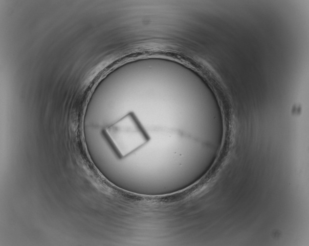 X0000115621065200911101051