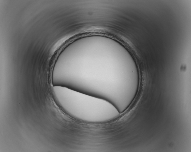 X0000115621066200911101051