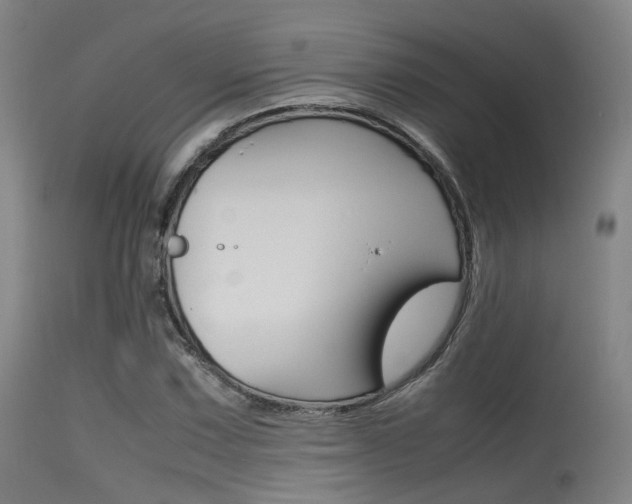 X0000115621067200911101051
