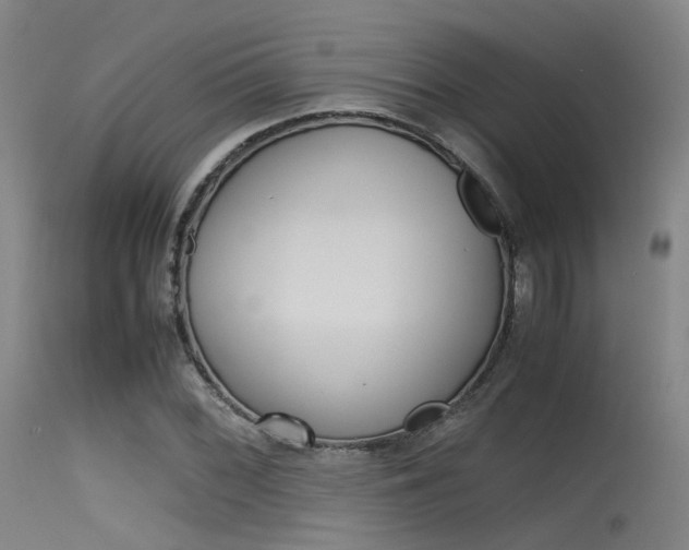 X0000115621068200911101051