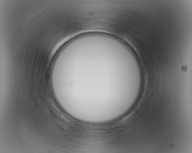 X0000115621069200911101051