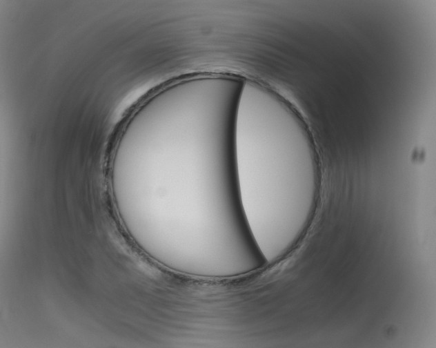 X0000115621071200911101051