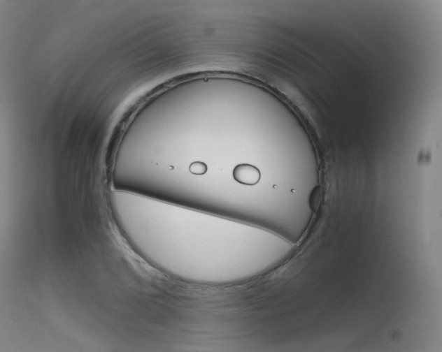 X0000115621072200911101051