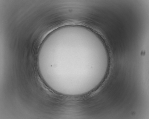 X0000115621073200911101051