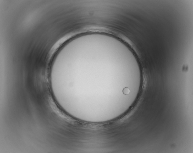 X0000115621074200911101051