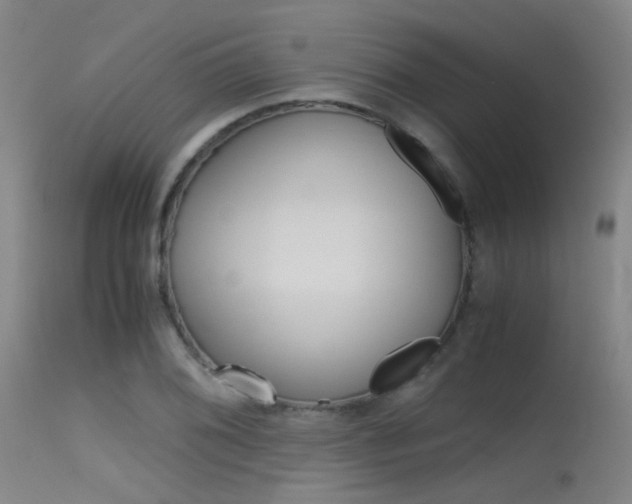 X0000115621076200911101051