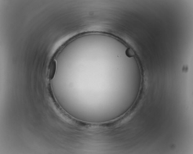 X0000115621077200911101051