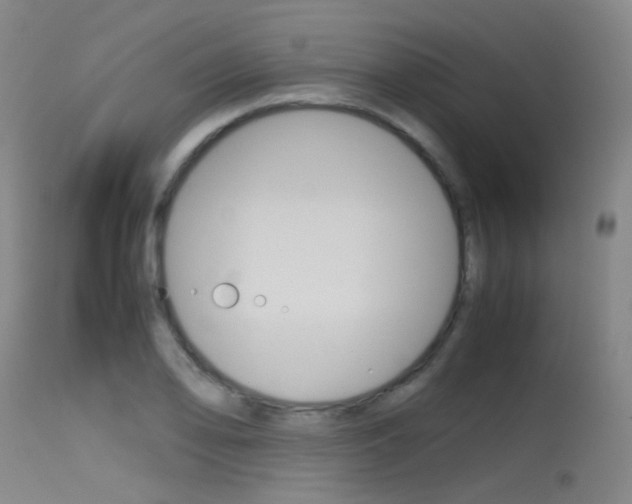 X0000115621078200911101051
