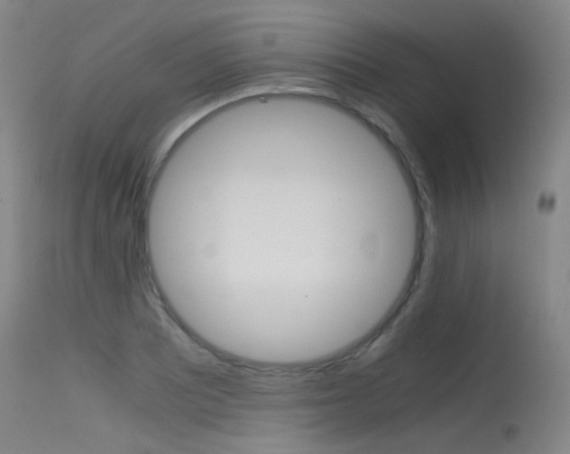 X0000115621081200911101051