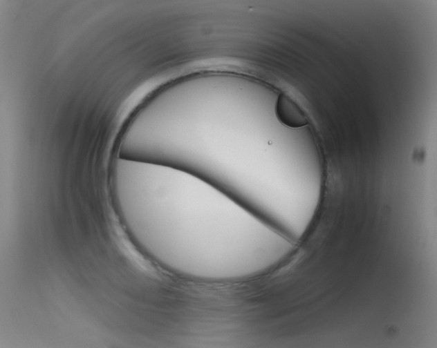 X0000115621082200911101051