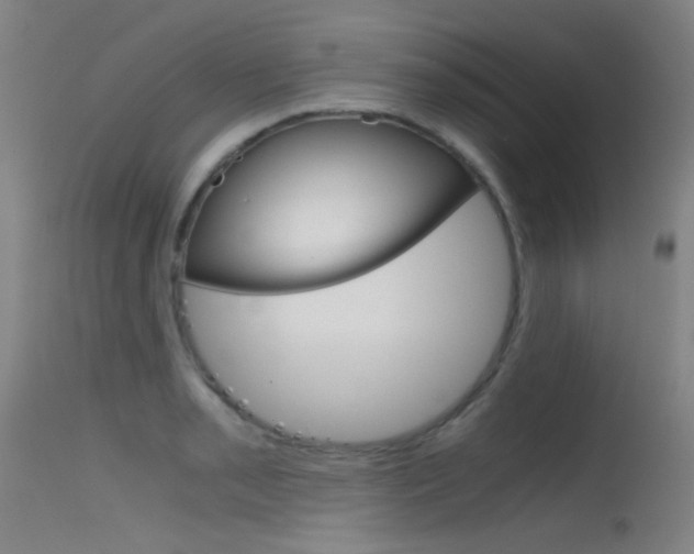 X0000115621085200911101051