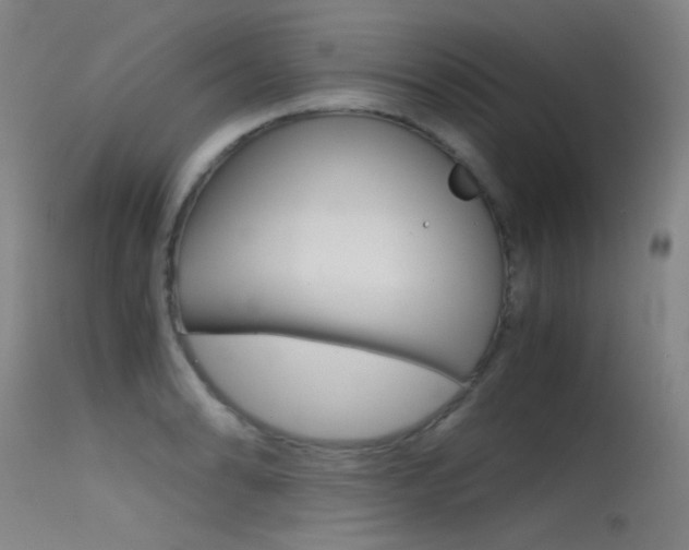 X0000115621086200911101051