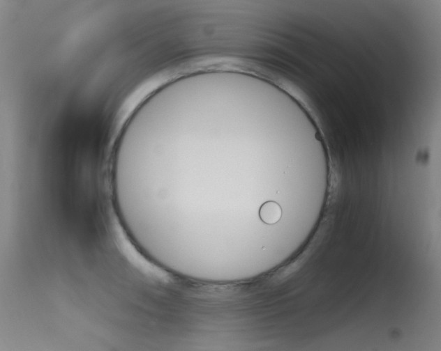 X0000115621090200911101051