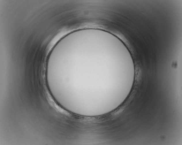 X0000115621094200911101050