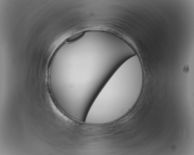 X0000115621095200911101050