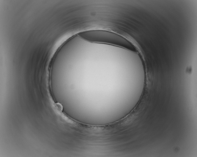 X0000115621096200911101050