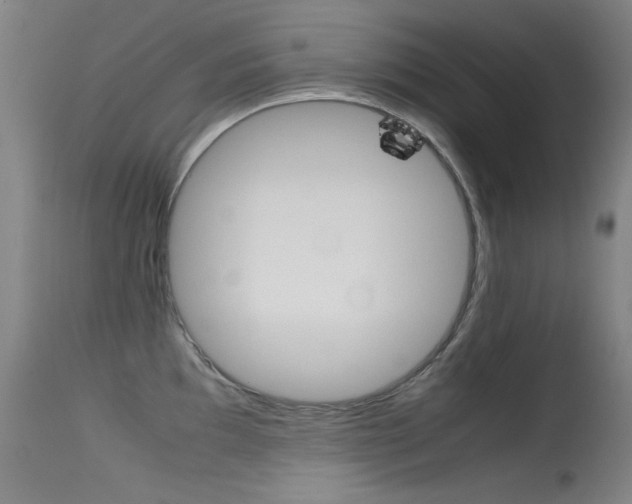 X0000115621097200911101050