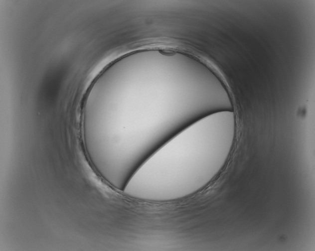 X0000115621099200911101050