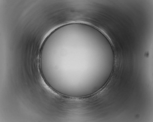 X0000115621100200911101050
