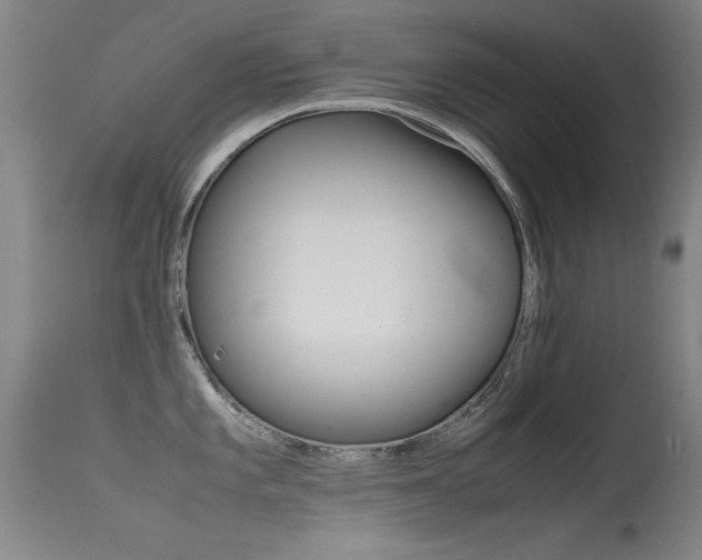 X0000115621101200911101050