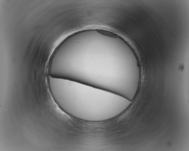 X0000115621102200911101050