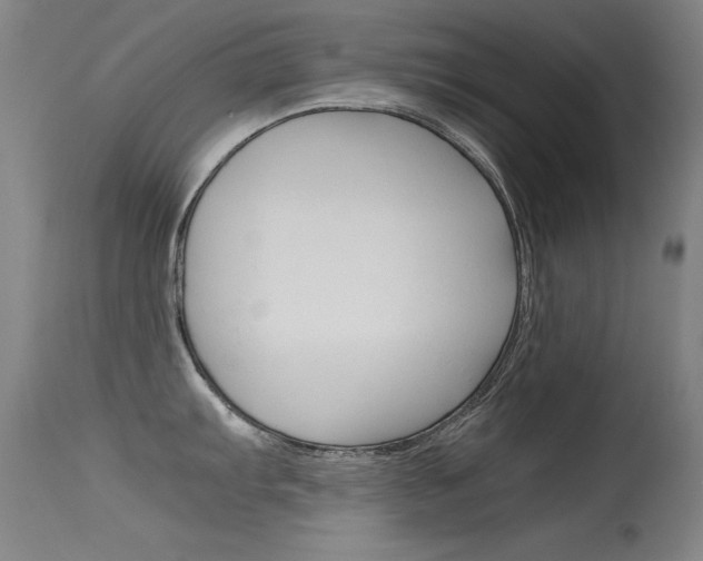 X0000115621103200911101050