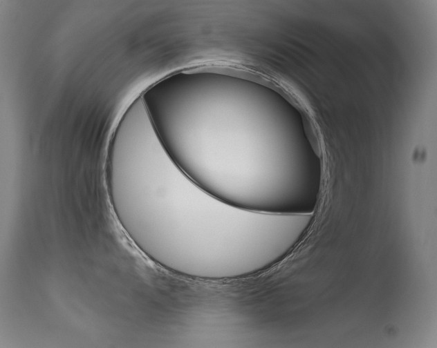 X0000115621104200911101050