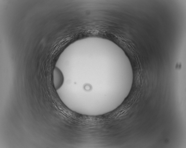 X0000115621105200911101050