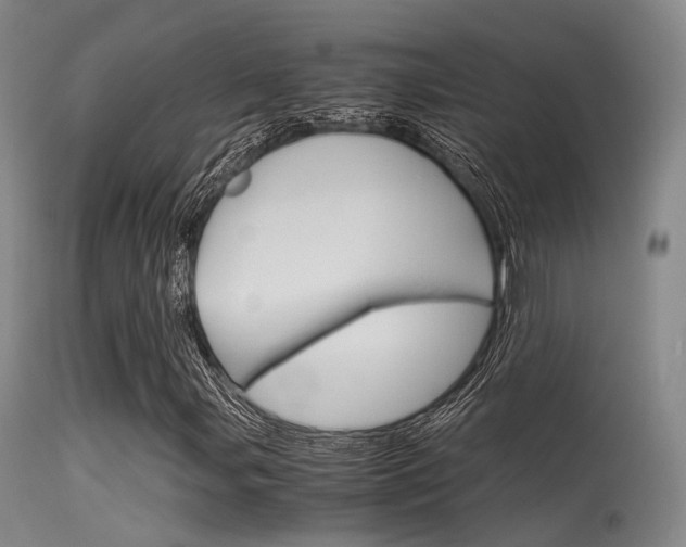 X0000115621107200911101050