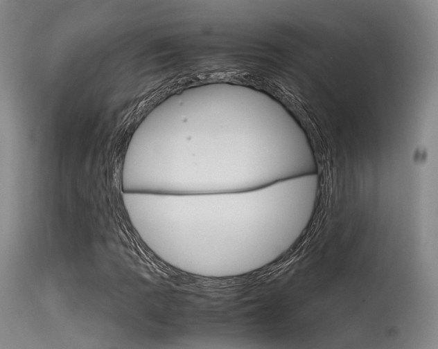 X0000115621109200911101050