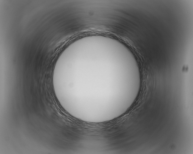 X0000115621110200911101050
