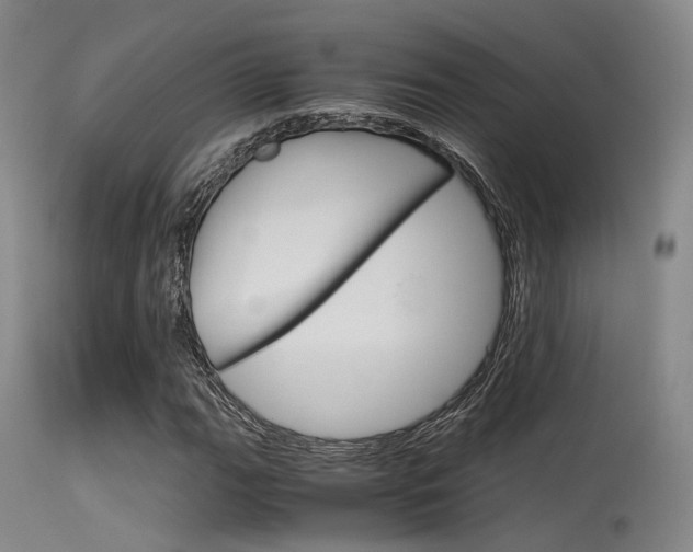 X0000115621111200911101050