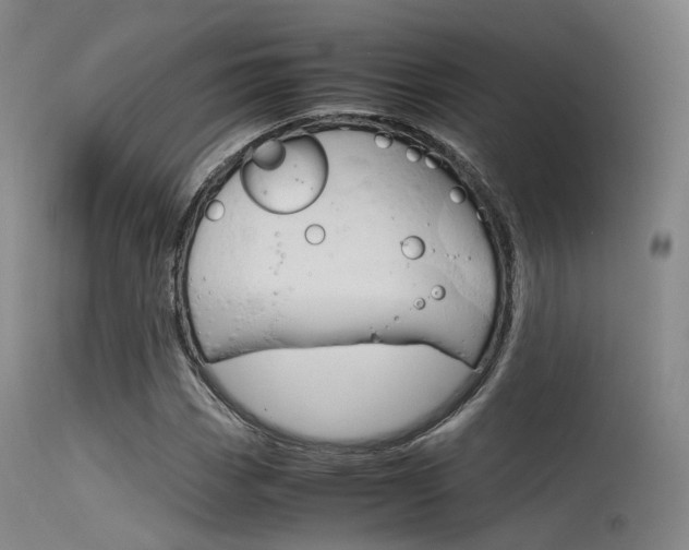 X0000115621113200911101050