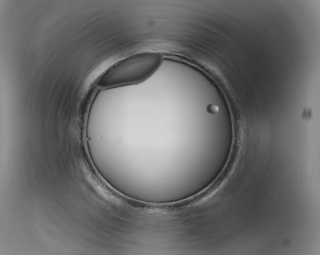 X0000115621114200911101050