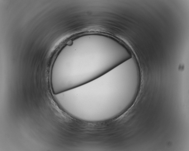 X0000115621115200911101050