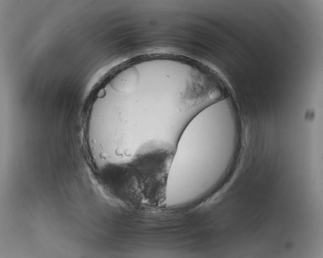 X0000115621117200911101050