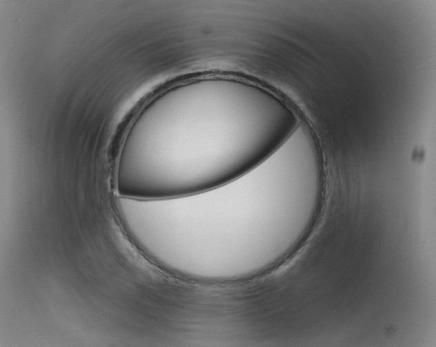 X0000115621118200911101050