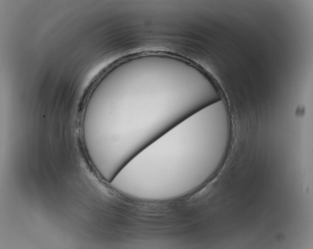 X0000115621119200911101050