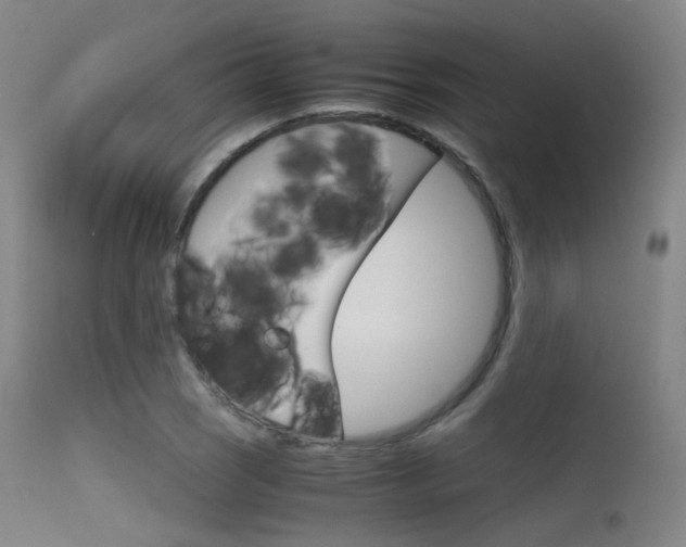 X0000115621121200911101050