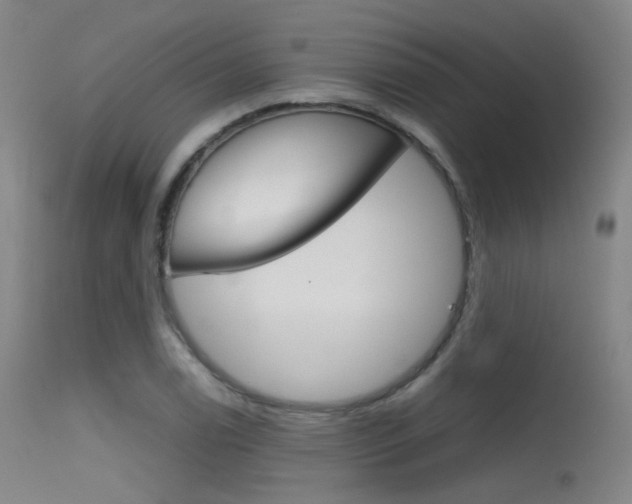 X0000115621122200911101050